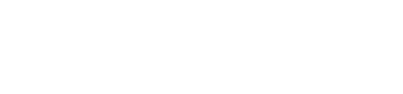 MAIN INC.